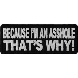 Because I'm An Asshole Thats Why Naughty Patch - 4x1.5 inch P1542